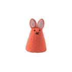 EGG-WARMER, coral