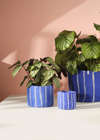 FLOWER POT 25, XL, THIN-STRIPES, electric-blue