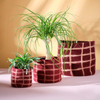 FLOWER POT 25, M, THIN-CHECKED, burgundy
